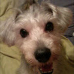 Meet your Posher, Wanda